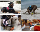 2016 New Professional Dog Chest Straps S-XXL